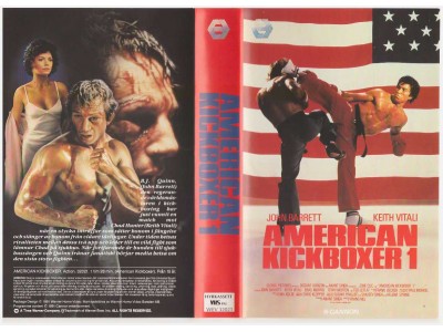 American Kickboxer 1        